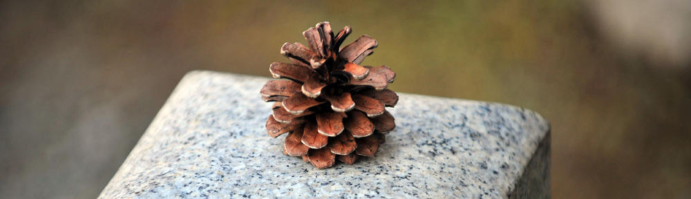 Alpana Crafts